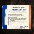 Caspian Androne Testosteron Enanthate 250mg 10 Ampül