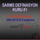 Sarms Definasyon Kürü #1